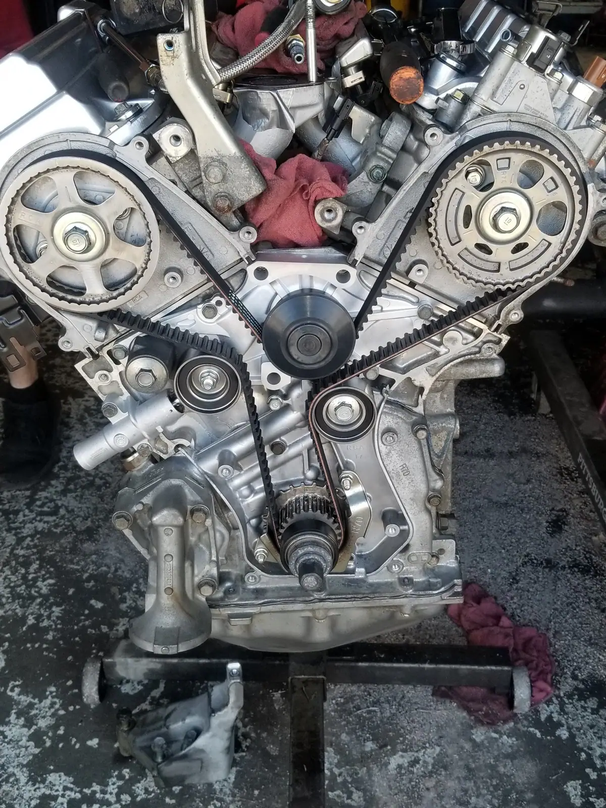 V6 on an engine stand with the timing belt, cam gears, tensioner and water pump exposed