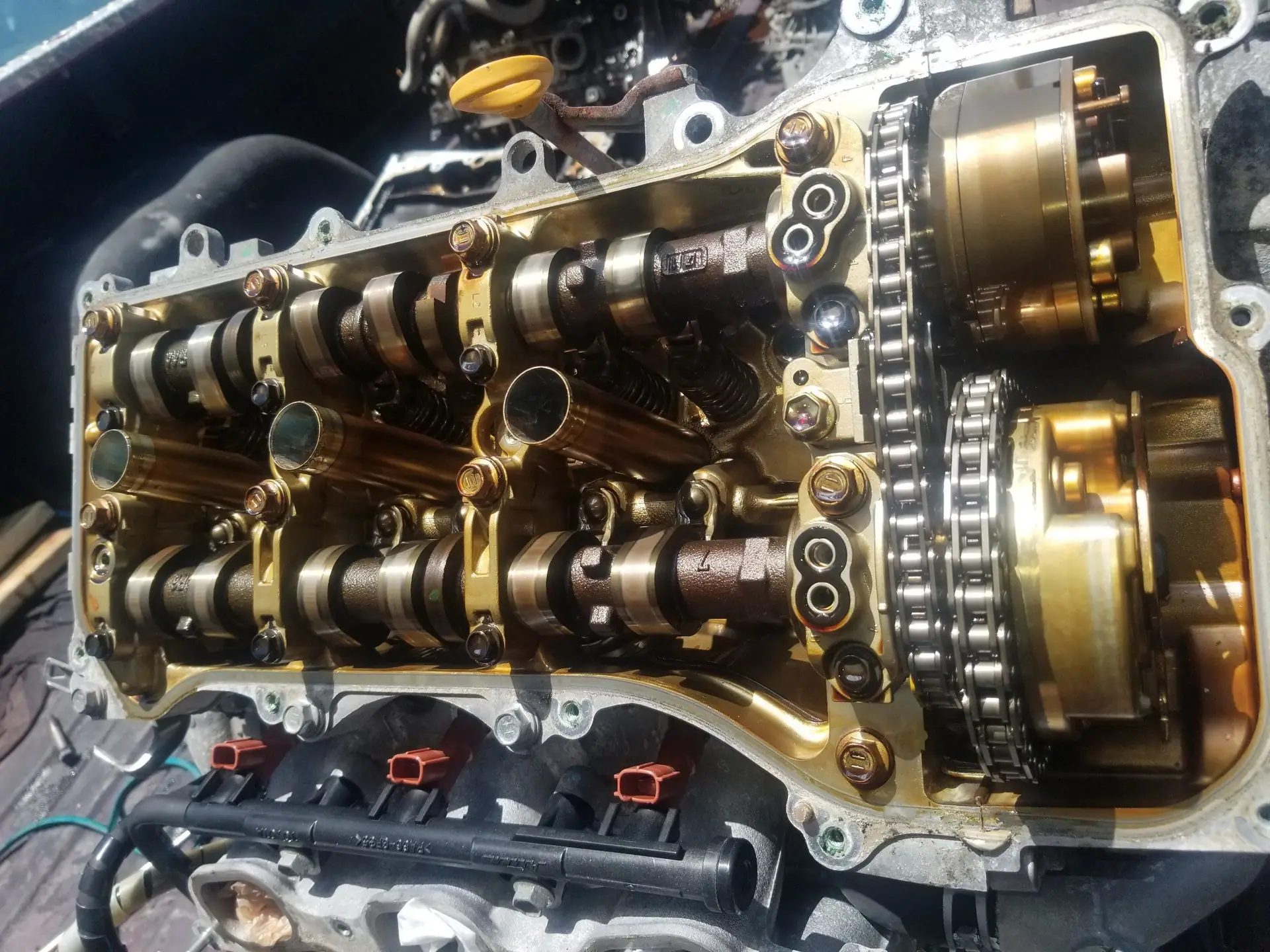 Twin camshafts and timing chain under a removed valve cover